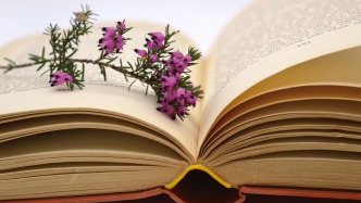 影視作品授權方未開具發票，被授權方為何能拒付授權費？