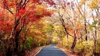 桦甸之秋：五彩斑斓的盛宴