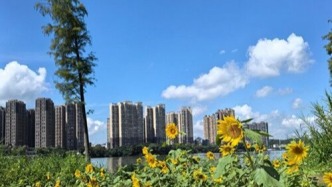 雷雨漸少 仍要防御局地強(qiáng)對流