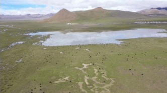 浪卡子县：暖冬、通途与青春力量不惧海拔高