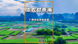 航拍广西甘蔗海，峰林如黛，蔗浪翻涌，风光之美令人震撼