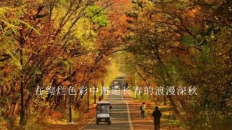 吉林賞秋榜出爐！凈月登榜！這份“追秋”攻略快收好~