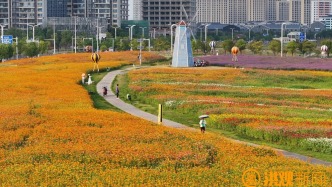 看！南昌的“花花世界”