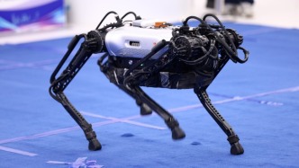 中關(guān)村具身智能機(jī)器人大賽賦能產(chǎn)業(yè)，2025機(jī)遇再啟