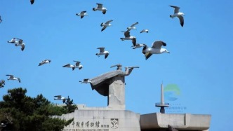 金秋重逢樂威海丨紅焰燃志·丹心向陽之旅