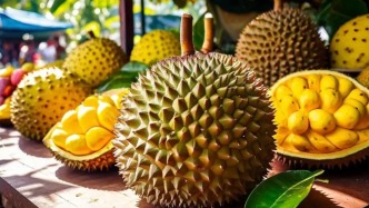 洪九果品响退市警报,“榴莲大王”梦断资本路