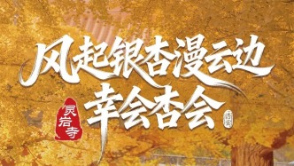 济南灵岩寺银杏季正式启幕，超全攻略来啦！