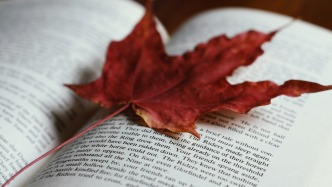 第三方取走拍攝素材行為是否構成解除合同的表示？