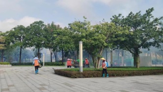肇慶新區(qū)公園綠化帶常態(tài)化清積滅蚊！保障游客安心游園~