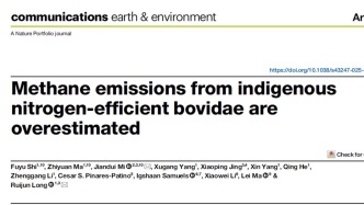 兰州大学研究团队揭示IPCC显著高估本土牛科动物甲烷排放效率——重视全球反刍家畜甲烷排放评估
