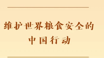 维护世界粮食安全的中国行动