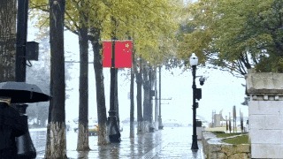 初雪邂逅老街，长春新民大街的冬日叙事即将开始