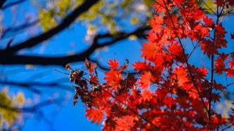 央视镜头一年四季都在打卡的九如山，到底有多大的吸引力？