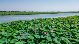 济南新增1处国家重要湿地！