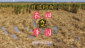 持續(xù)陰雨：農(nóng)田變澤國，小麥播種推遲半個月