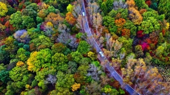 美到让人窒息的G334，在等你赋名！