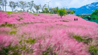 浪漫色藏不?。√┌驳那锾炀雇低得莱蛇@樣啦！第3種甜到想戀愛……
