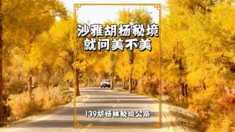 就问美不美？实拍沙雅139胡杨自驾公路，目测胡杨已迎来最美季节