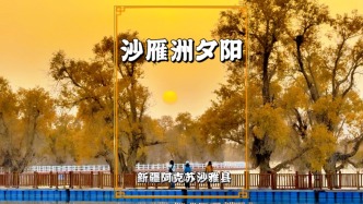 尋美阿克蘇，打卡沙雅沙雁洲，夕陽下的水上胡楊林，如同一幅油畫