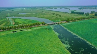 濟南新增1處國家重要濕地！你去過嗎？
