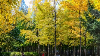 秋色不等人 速來解鎖公園景區(qū)的N種玩法！