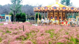 一封來自濟南鮮花港的浪漫邀約