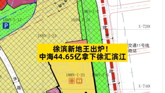 徐濱新地王出爐，中海44.65億拿下徐匯濱江