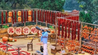 快看！山東人把秋天“曬”成了調(diào)色盤