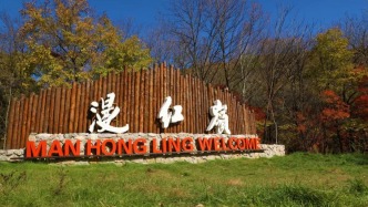 G334秋色正浓，漫红岭的红叶又美到炸裂了！