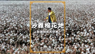 尋美阿克蘇，走進沙雅棉花地，讓我們近距離感受新疆棉的震撼