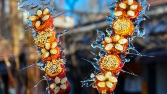 濟(jì)南人“食”力推薦！鉆進(jìn)泉城的煙火里，香迷糊了！