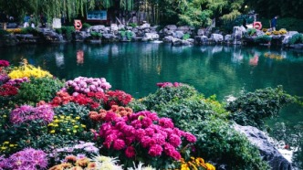 濟南市第46屆趵突泉金秋菊展將于10月25日盛裝啟幕