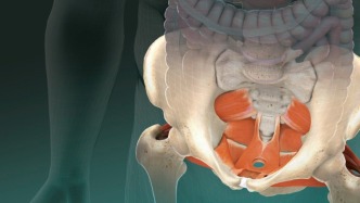 生完孩子后，腰總在痛？1個(gè)動(dòng)作幫你修復(fù) | 科學(xué)世界·特輯