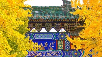 你 的 魯 來(lái) 了 ！