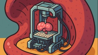 再生器官或?qū)⒚罱馓悄虿?！科學家將“雞肋”脾臟改造成萬用工廠