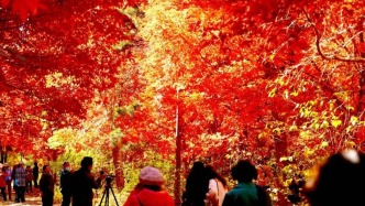 美上《新聞聯(lián)播》！低調(diào)~“長紅”幾十年了