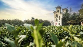 青島西海岸7個“國字號” 地理標(biāo)志產(chǎn)品，就是它們→