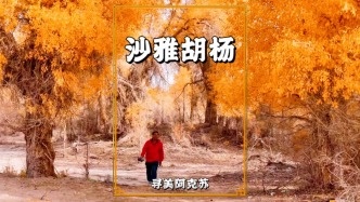 實拍沙雅胡楊，公路邊隨手一拍皆美如壁紙，令人心醉神迷