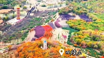 秋韵九台 色染层林