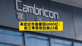 寒武纪市值重回6000亿：前三季营收狂飙23倍
