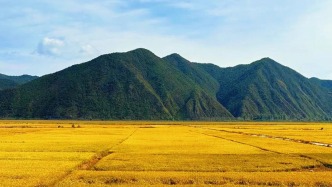 圖們秋韻：一場(chǎng)邊境線上的色彩盛典