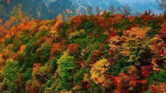 2025年中國(guó)最美紅葉觀景地已出爐，從四川到遼寧，赴一場(chǎng)秋天的視覺(jué)盛宴！