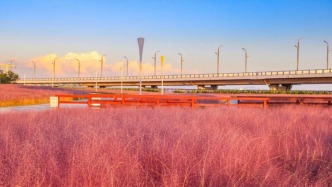 煙臺0.5小時(shí)直達(dá)的神仙小城，來了就不想走！