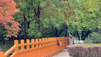 霜降天冷冷冷！北京亦莊這個(gè)公園怎么“暖洋洋”的？