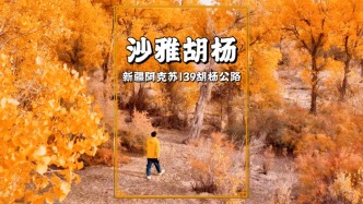 探秘新疆秋色天花板，自駕沙雅139胡楊公路，每一幀都美如畫卷