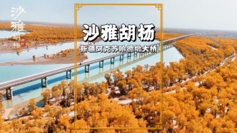 尋美阿克蘇，路過塔里木河上的沙雅哈德墩大橋，橋兩側(cè)如金色海洋