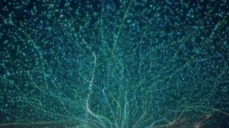 因為你（湖南瀏陽河），我貪戀人間煙火