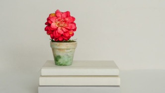 影片版權(quán)受讓方能否以轉(zhuǎn)讓方院線宣發(fā)不足而降低轉(zhuǎn)讓費(fèi)？