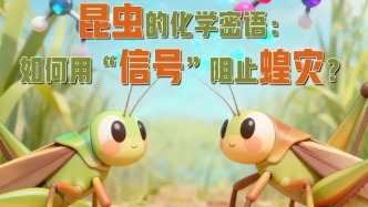 首都科學(xué)講堂預(yù)告丨昆蟲的化學(xué)密語：如何用“信號”阻止蝗災(zāi)？
