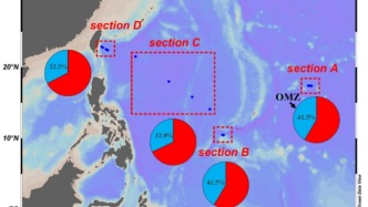 揭秘深海 “固碳” 密碼！海洋所發現西太平洋最小含氧帶強效增強深海碳匯